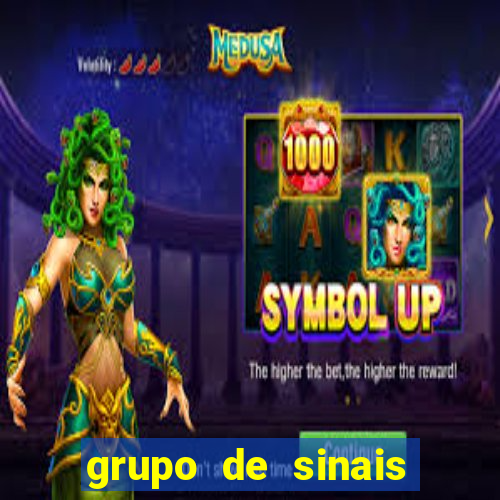 grupo de sinais trader telegram